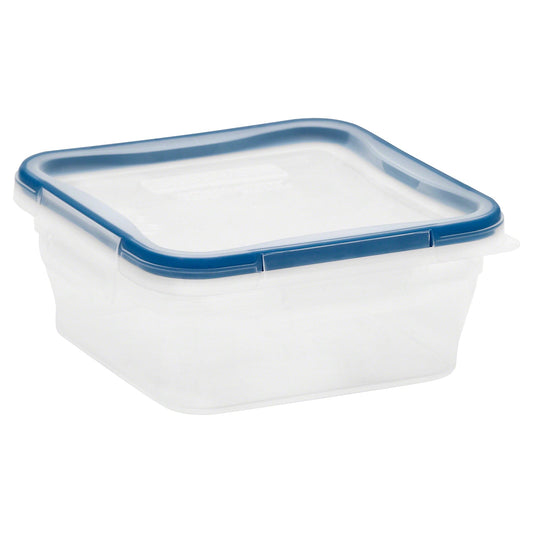 Container with a blue lid Snapware